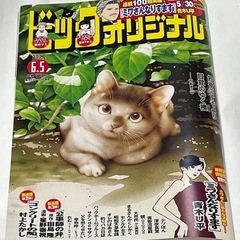 【希少！最新号】ビッグコミックオリジナル 2025年6月5日号