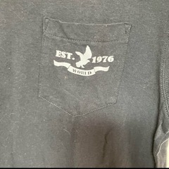 メンズ半袖Tシャツの画像