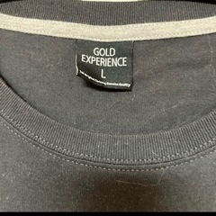 メンズ半袖Tシャツの画像