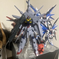MG 1/100 プロヴィデンス