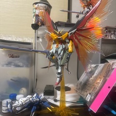 MG 1/100 ハイネ専用デスティニー