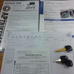 最終価格🍀【中古】普通免許で乗れる３人乗り APトライク APtrikes125の画像