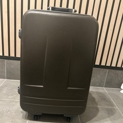 キャリーバック　キャリーケースの画像