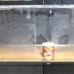 1800水槽