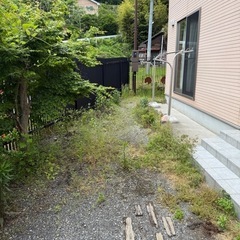 草刈、草むしりお任せください