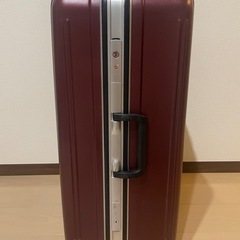 スーツケース Lサイズ Michiko Londonの画像