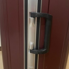 スーツケース Lサイズ Michiko Londonの画像