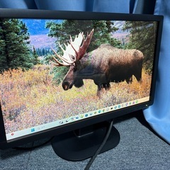 液晶ディスプレイ（液晶モニター）