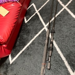 ルアーフィッシング用竿2本セット