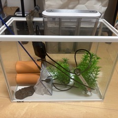 水槽セット(メダカ、金魚など)