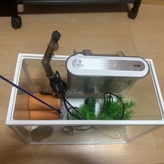 水槽セット(メダカ、金魚など)の画像