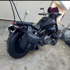 マグナ250