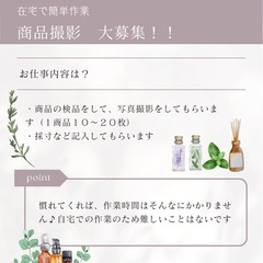 ✨在宅で簡単✨写真撮影業務をお願いします✨