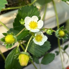 楽しくお話が出来る方✨