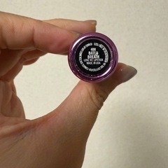 MAC チューリップサービスの画像