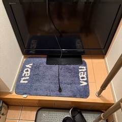 テレビ