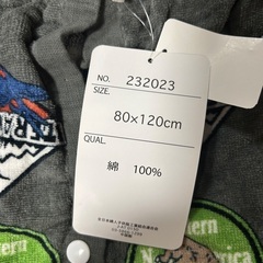 【新品、タグ付】プールタオル　恐竜柄の画像