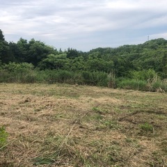 草刈いたします。 - 高梁市
