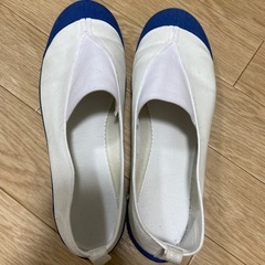 体育館シューズ24.0EE