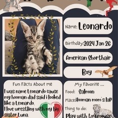 Leo