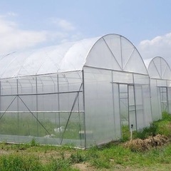 ビニールハウス