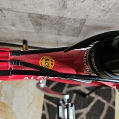 ルイガノ　自転車の画像