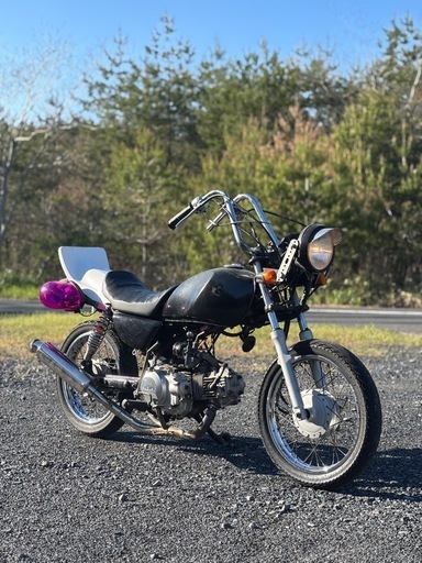 gs50値下げしました (m f) 亀甲のスズキの中古あげます・譲り