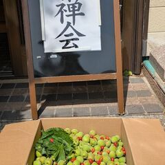 坐禅習慣プラスで、人生にスパイスを✨️ - 津市