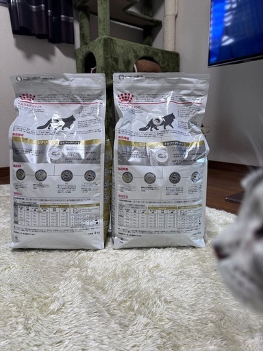 ロイヤルカナン  ユリナリーs/oオルファクトリー4kg 
