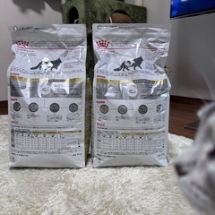 ロイヤルカナン ユリナリーs/oオルファクトリー4kg