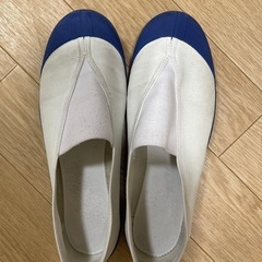 体育館シューズ22.5EE