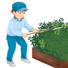実績あり！草刈りや芝刈り等の作業
