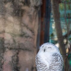カメラ友達募集 - 友達