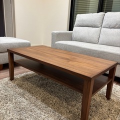 【新品】タマリビングセンターテーブル