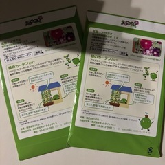 今週廃棄アサガオのタネ２袋の画像