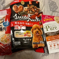 ドッグフード　3種