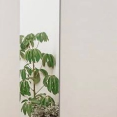 全身鏡 全身ミラー 壁掛け全身鏡