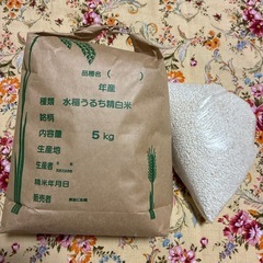 古米5kgともち米5合　スィートピー