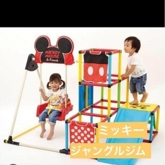 ジャングルジム　滑り台　ミッキー　ディズニーの画像