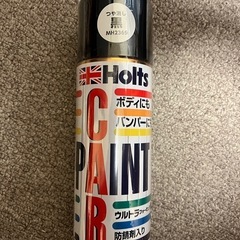 Holts 艶消し黒 スプレー