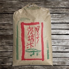 令和5年玄米コシヒカリ 30kg