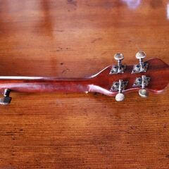 弦楽器　バンジョー　Framus Banjo　携帯用のやわらかい革のバッグ付の画像