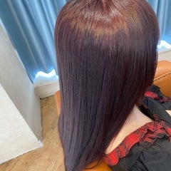 ファッションリタッチカラーモデル