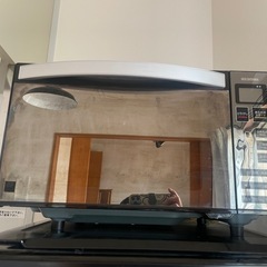 取引中⭐️引き取り希望⭐️2020年製 電子レンジ アイリスオー...