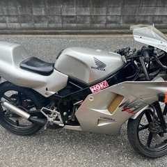 nS1閲覧用