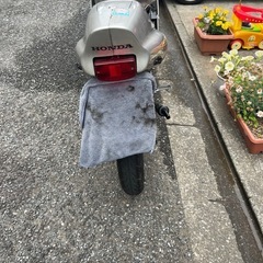 nS1閲覧用