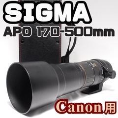 超望遠の世界へ！SIGMA APO 170-500mm F5-6...