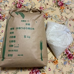 古米5kg ともち米5合　パンジー