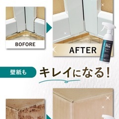 カビ取り用洗浄の画像