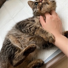 里親募集！